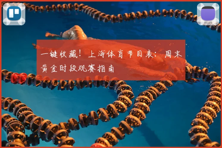 一键收藏！上海体育节目表：周末黄金时段观赛指南
